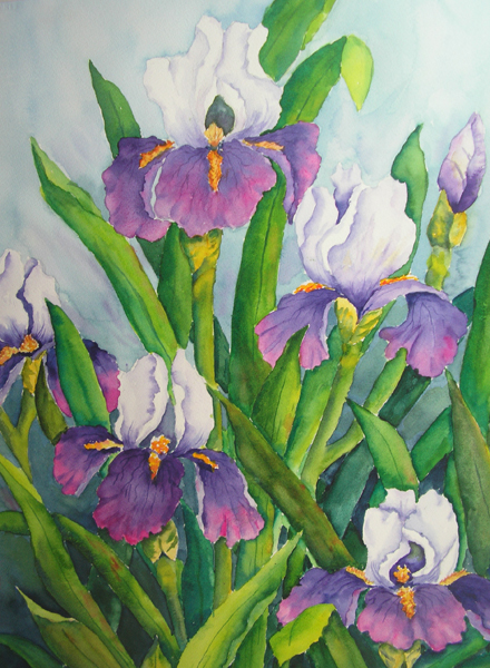 Florals | Joan's Watercolor Wonders